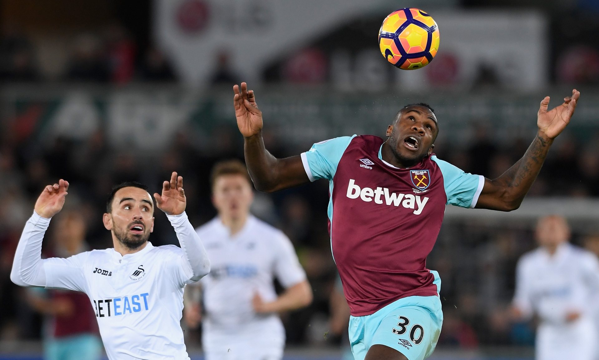 市场关注度 市场关注度