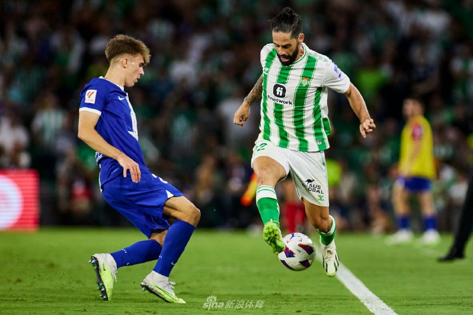 已经让很多 已经让很多